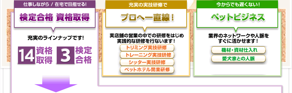 検定合格/資格取得/プロへ一直線/ペットビジネス