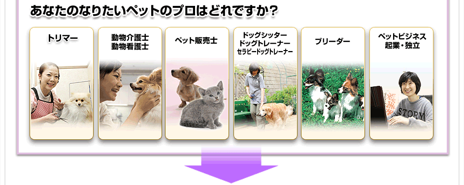 あなたのなりたいペットのプロはどれですか?
