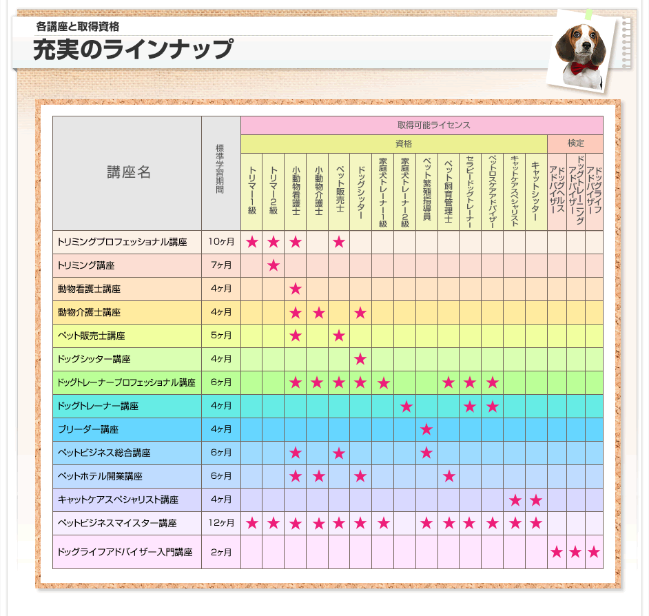 コースラインナップ