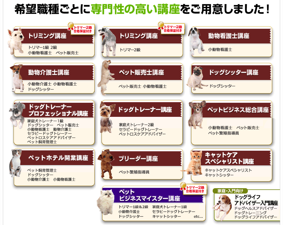希望職種ごとに専門性の高い講座をご用意しました!