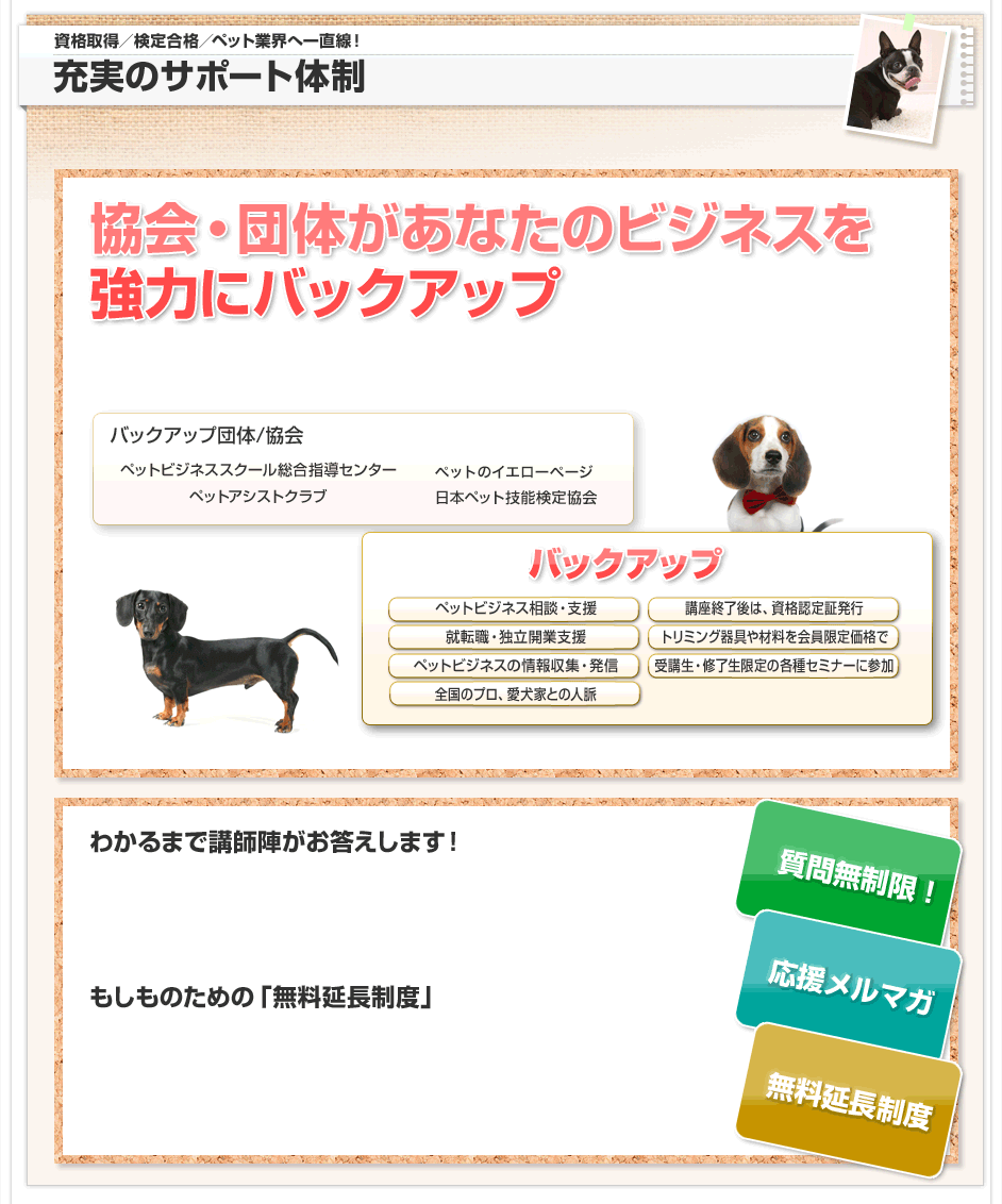 充実のサポート体制