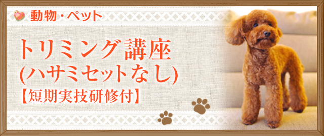 トリミング講座(ハサミセットなし)【短期実技研修付】