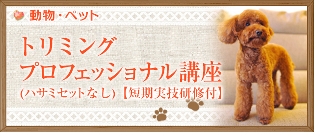 トリミング プロフェッショナル講座(ハサミセットなし)【短期実技研修付】
