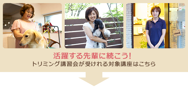 活躍する先輩に続こう!トリミング講習会が受けれる対象講座はこちら