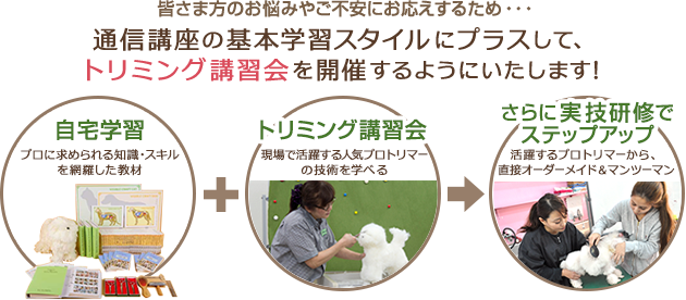 皆さま方のお悩みやご不安にお応えするため・・・通信講座の基本学習スタイルにプラスして、トリミング講習会を開催するようにいたします!