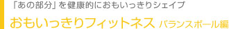 おもいっきりフィットネス バランスボール編