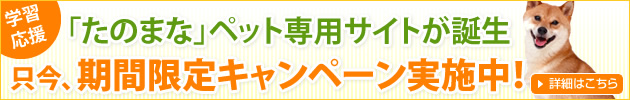 ペット専用サイトが誕生。只今、期間限定キャンペーン実施中！