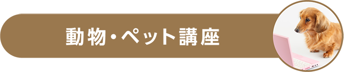 ưʪ¡¦¥Ú¥Ã¥È¹ÖºÂ