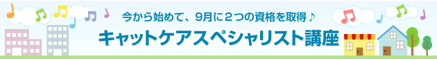 今から始めて、9月に2つの資格を取得♪
キャットケアスペシャリスト講座