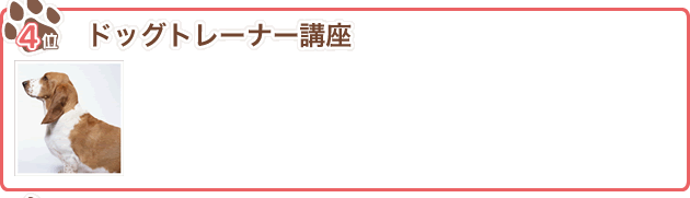 4位 ドッグトレーナー講座