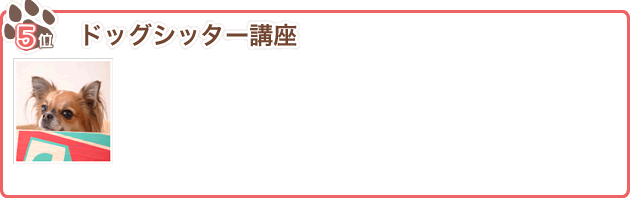 5位 ドッグシッター講座