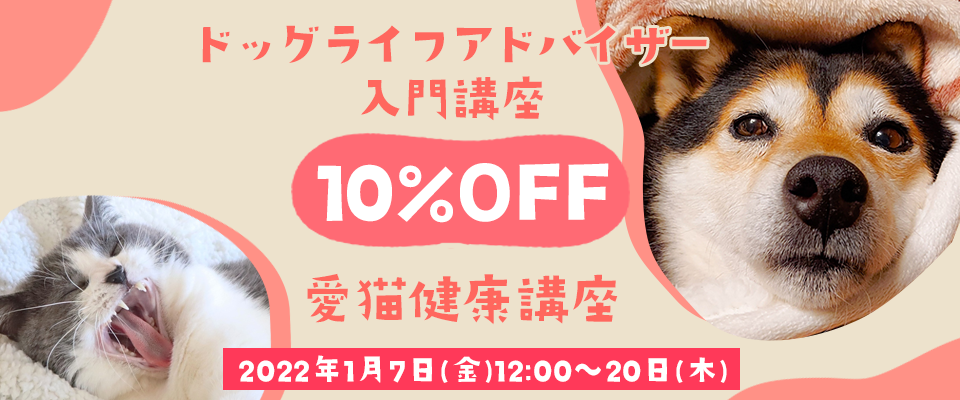 ドッグライフアドバイザー入門講座・愛猫健康講座10%OFF