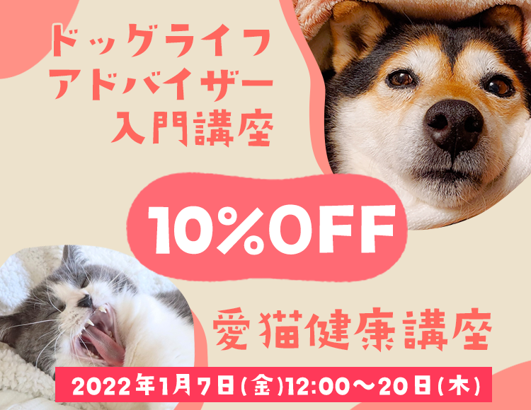 ドッグライフアドバイザー入門講座・愛猫健康講座10%OFF