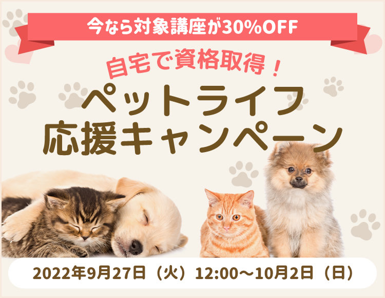 期間限定！対象講座が30％OFF