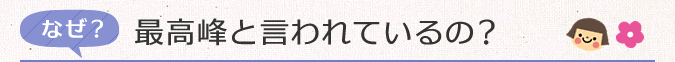 なぜ？最高峰と言われているの？