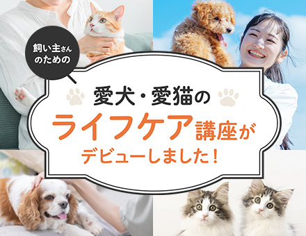 愛犬・愛猫のライフケア講座がデビュー