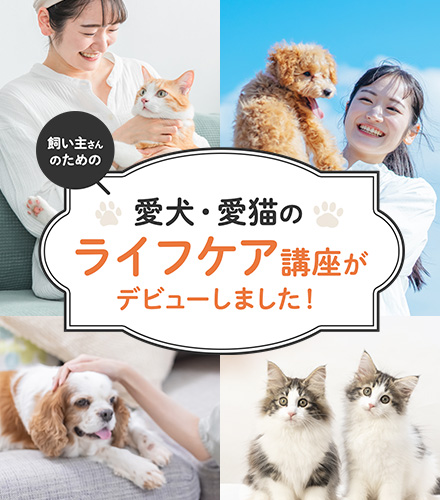 愛犬・愛猫のライフケア講座がデビュー