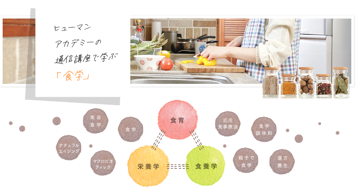 ヒューマンアカデミーの通信講座で学ぶ「食学」