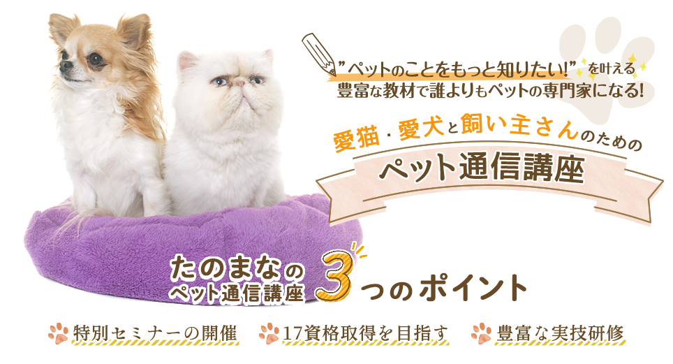 ペット・動物 資格通信講座の資格を目指すための勉強なら、ヒューマン ...