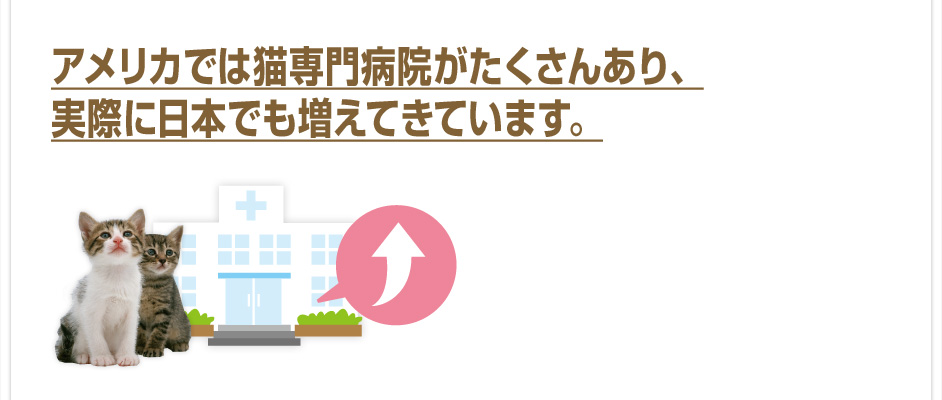アメリカでは猫専門病院がたくさんあり、実際に日本でも増えてきています。