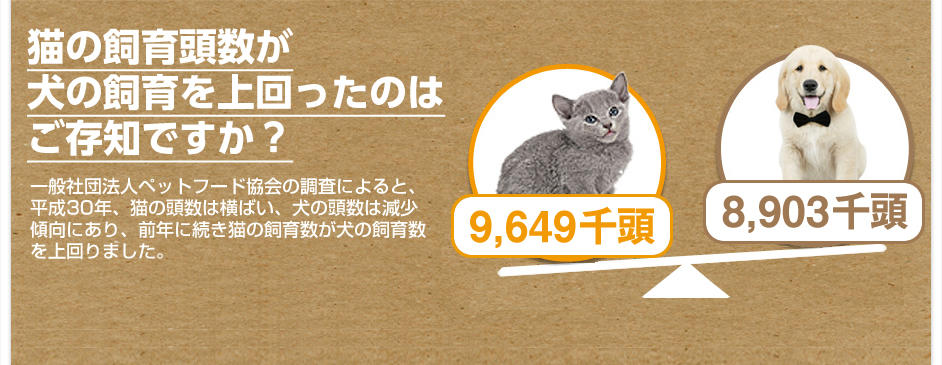 犬と猫の飼育頭数はそんなに変わらないってご存知ですか?