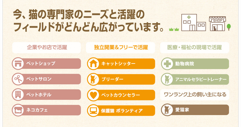 今、猫の専門家のニーズと活躍のフィールドがどんどん広がっています。