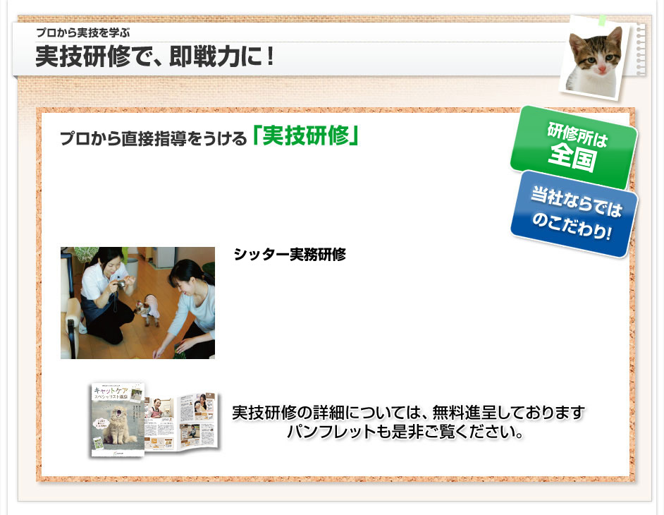 実技研修で即戦力に