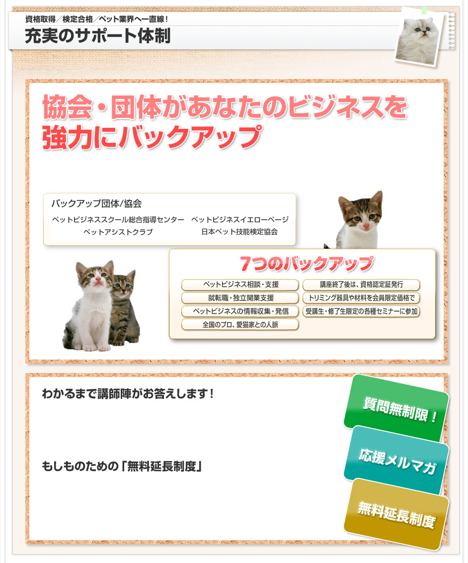 充実のサポート体制