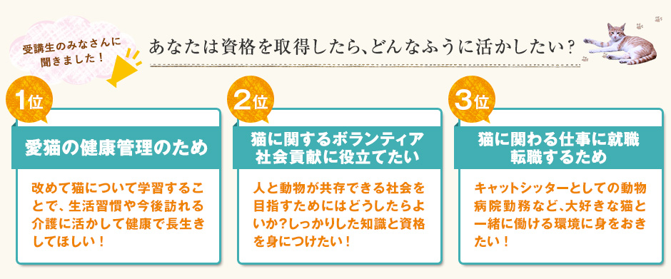 あなたは資格を取得したら、どんなふうに活かしたい？1位「愛猫の健康管理のため」、2位「猫に関するボランティア社会貢献に役立てたい」、3位「猫に関わる仕事に就職転職するため」