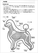 畝間 レキシコン トン プードル 犬 体 図 Rotosaw Net 畝間 レキシコン トン プードル 犬 体 図 Rotosaw Net