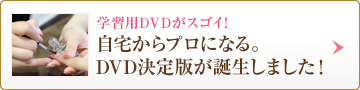 ؽDVD 𤫤ץˤʤ롣DVDǤޤ