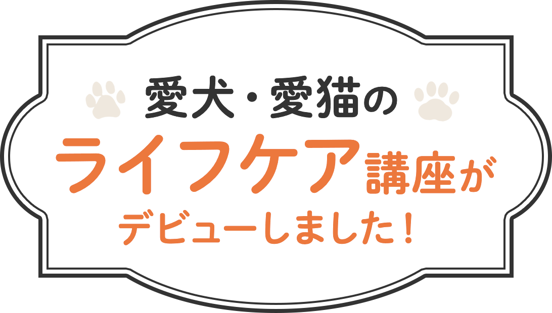 愛犬・愛猫のライフケア講座がデビューしました!