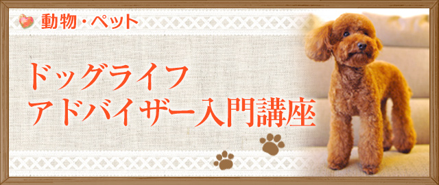 ドッグライフアドバイザー入門講座