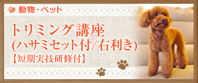 トリミング講座(ハサミセット付/右利き)【短期実技研修付】