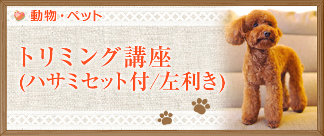 トリミング講座(ハサミセット無し)