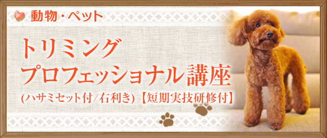 トリミング プロフェッショナル講座(ハサミセット付/右利き)【短期実技研修付】