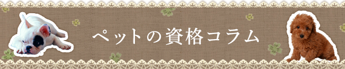 ペットの資格コラム