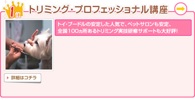 1位 トリミング・プロフェッショナル講座