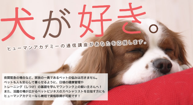 犬が好き。ヒューマンアカデミーの通信講座があなたを応援します。ペットに関する資格ならお任せ下さい！