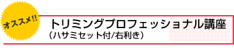 トリミング プロフェッショナル講座