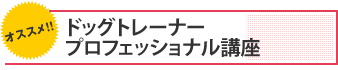 ドッグトレーナー資格講座