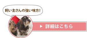 飼い主さんの強い味方! 詳細はこちら