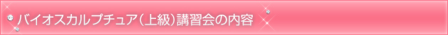 バイオスカルプチュア（上級）講習会の内容