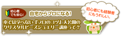 ダイジェスト版動画はこちら