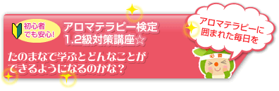 ダイジェスト版動画はこちら
