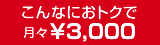 こんなにおトクで月々￥3,000