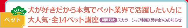 犬が好きだから本気でペット業界で活躍したい方に 大人気・全14ペット講座【期間限定】スカラーシップ制度（奨学金）のお知らせ