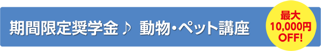 期間限定奨学金♪ 動物・ペット講座 最大10,000円OFF!