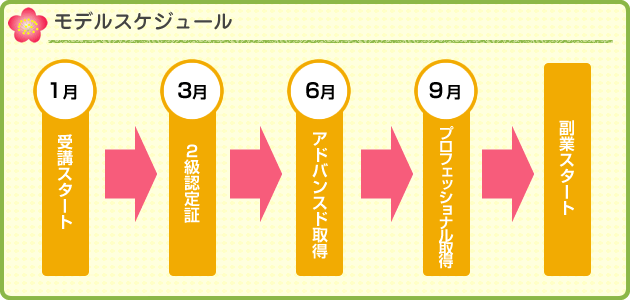モデルスケジュール