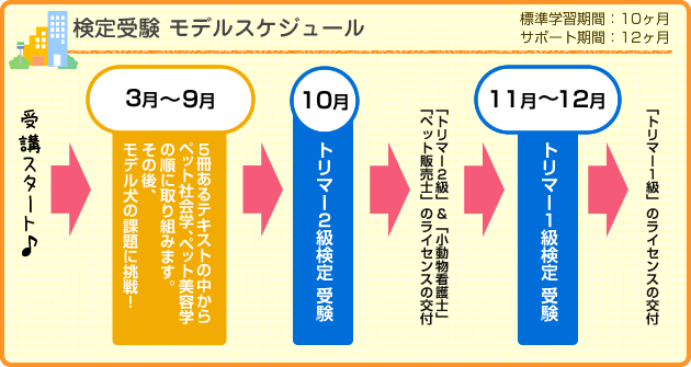 検定試験 モデルスケジュール